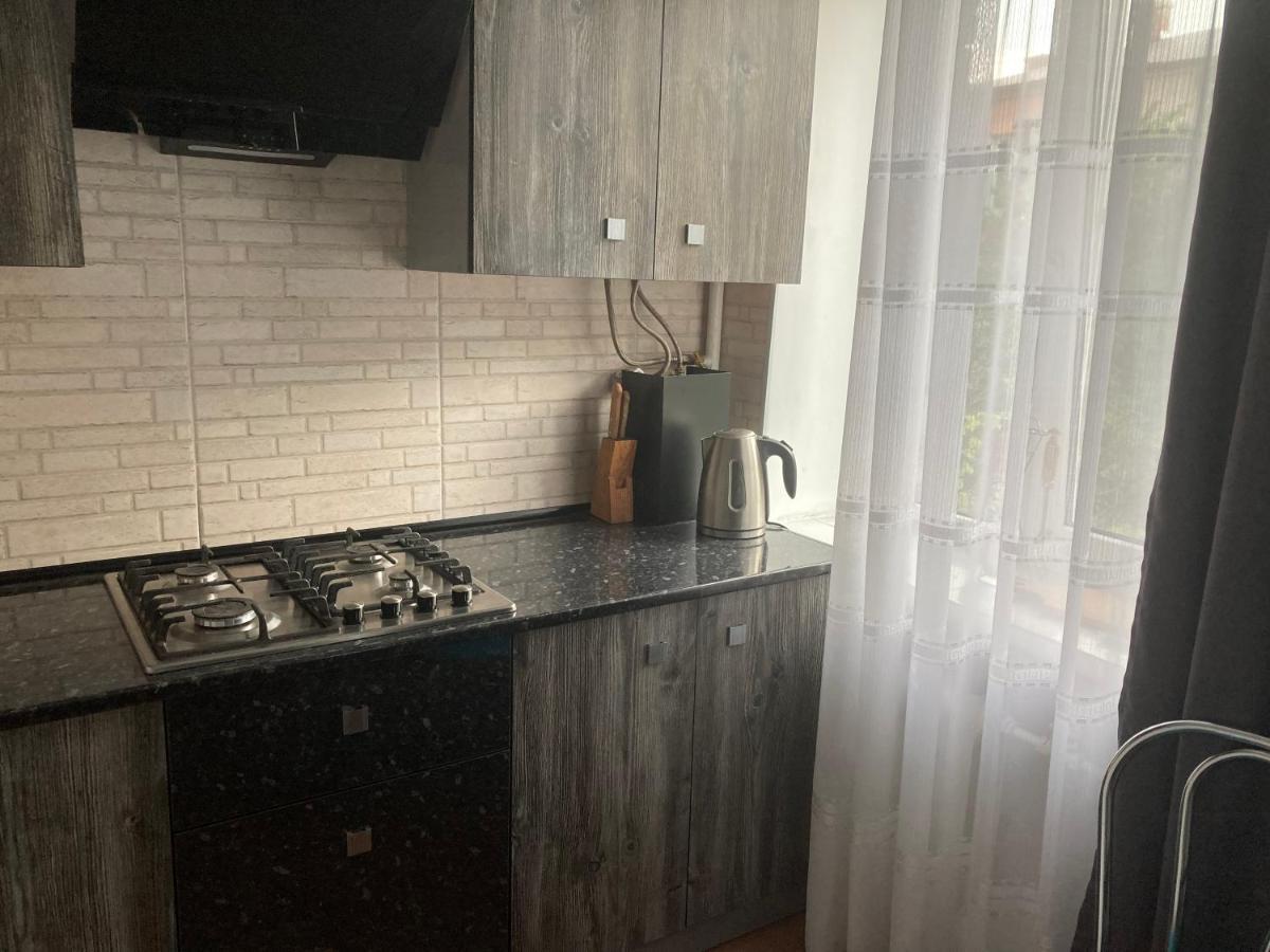 Apartment Artynova 29 Vinnicja Kültér fotó